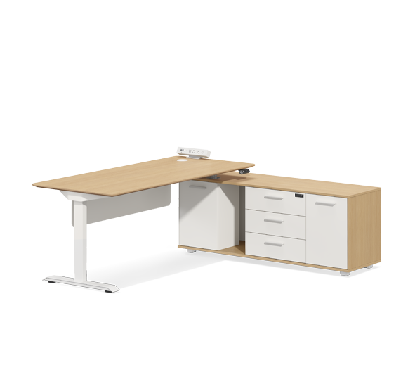 UP1 MotionDesk Standard
