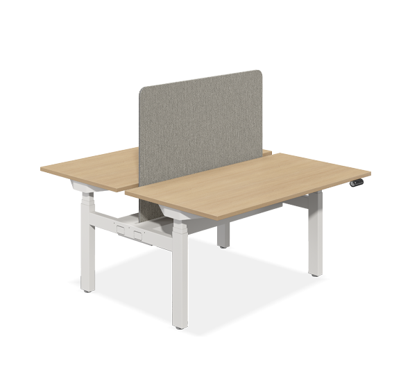 UP1 MotionDesk Standard