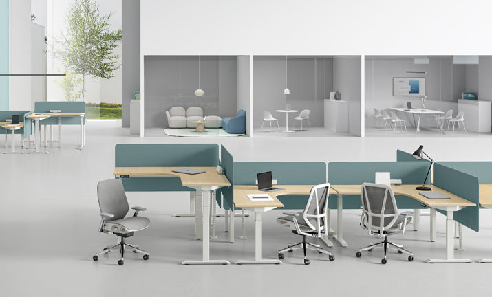 UP1 MotionDesk Standard