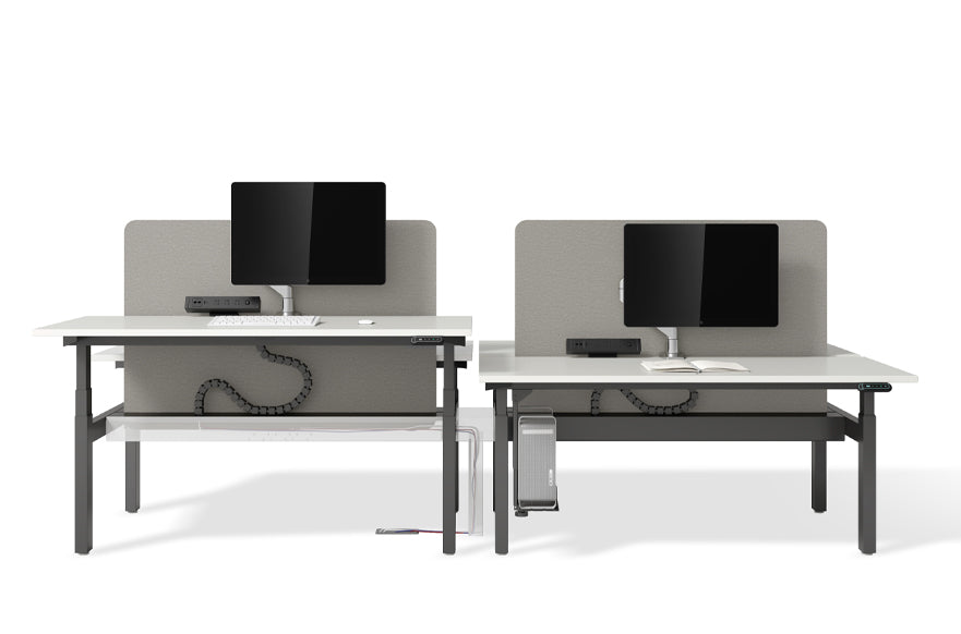 UP1 MotionDesk Standard
